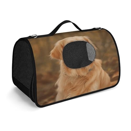 Golden Retriever Haustier-Tragetasche, modische Tragetasche für kleine Haustiere, Haustier-Tragetasche, Reise-Handtasche für Katzen und kleine Hunde von YHEGBFD