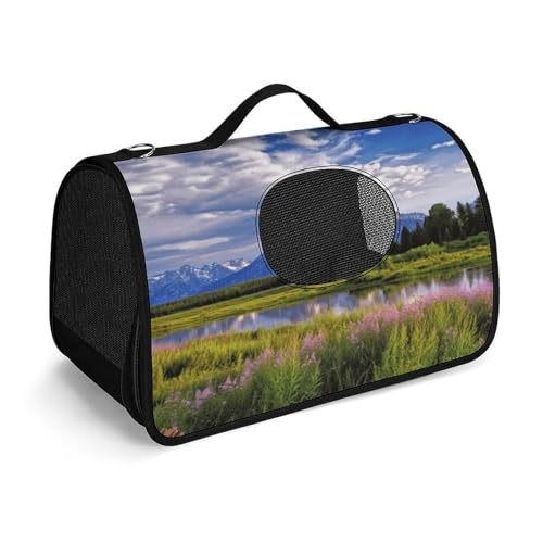 Grand Teton Haustier-Handtasche, modische Hundetasche, kleine Haustier-Tragetasche, Haustier-Tragetasche, Reise-Handtasche für Katzen und kleine Hunde von YHEGBFD