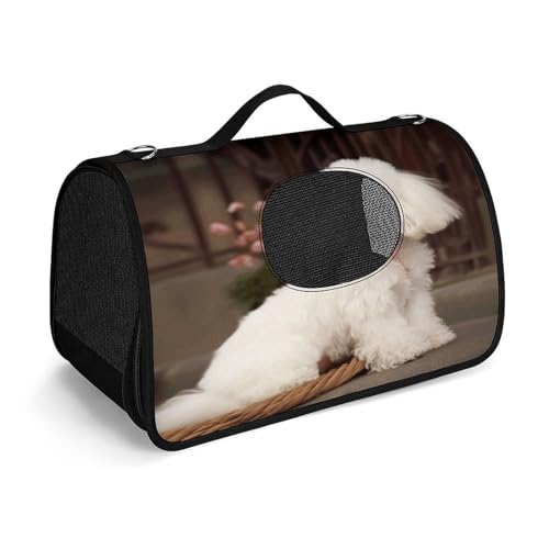 Haustier-Handtasche, französischer Pudel, modische Hundetasche, kleine Haustier-Tragetasche, Haustier-Tragetasche, Reise-Handtasche für Katzen und kleine Hunde von YHEGBFD