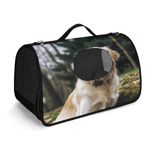 Haustier-Handtasche, lustig, Golden Retriever, modische Hundetragetasche, kleine Haustier-Tragetasche, Haustier-Tragetasche, Reise-Handtasche für Katzen und kleine Hunde von YHEGBFD