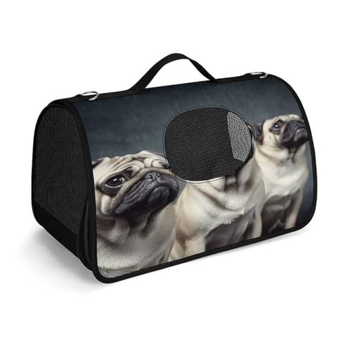 Haustier-Handtasche, lustige Mops-Hunde-Tragetasche, kleine Haustier-Tragetasche, Haustier-Tragetasche, Reise-Handtasche für Katzen und kleine Hunde von YHEGBFD