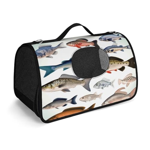 Haustier-Handtasche, verschiedene Fische, modische Hundetasche, kleine Haustier-Tragetasche, Haustier-Tragetasche, Reise-Handtasche für Katzen und kleine Hunde von YHEGBFD