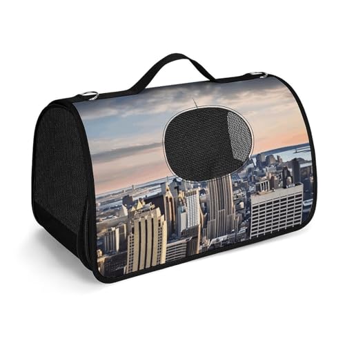 YHEGBFD Haustier-Handtasche, Empire State Building, modische Hundetasche, kleine Haustier-Tragetasche, Haustier-Tragetasche, Reise-Handtasche für Katzen und kleine Hunde von YHEGBFD