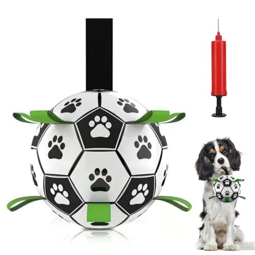 HundeBälle unzerstörbar Hundespielzeug Ball, Hund Fußball Hundespielzeug 15CM Interaktiver Schwimmender Ball mit Ballpumpe und Nadel Innen & Außen Spielzeug Hund Ball für kleine und mittelgroße Hunde von YHSKJCD