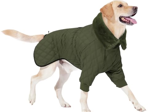 Hundemantel Winter Wasserdicht mit Reißverschluss, Winterjacken & Wintermäntel für Hunde Winddicht, Polyester Für Kleine Mittelgroße und Große Hunde(Green,L) von YHXAIQ