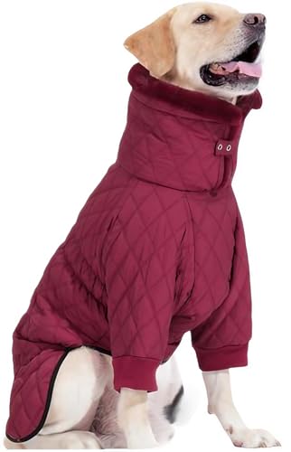 Hundemantel Winter Wasserdicht mit Reißverschluss, Winterjacken & Wintermäntel für Hunde Winddicht, Polyester Für Kleine Mittelgroße und Große Hunde(Red,M) von YHXAIQ