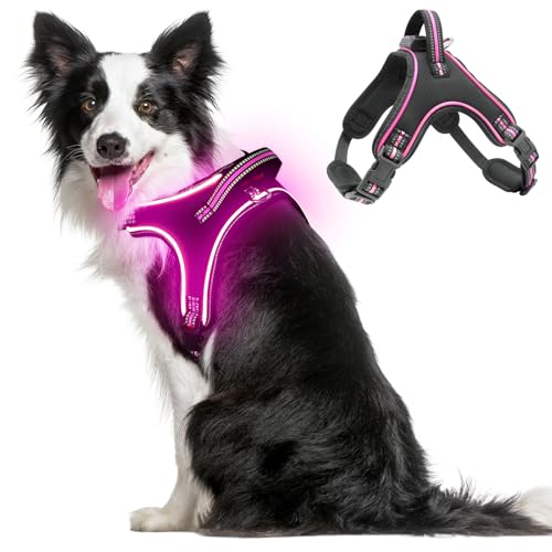 Light Up Hundegeschirr Leuchtend Aufladbar, LED Hundegeschirr mit Griff, Reflektierende Brustgeschirr für Bleiben Sie Nachts Sicher für Mittel Klein große Hund (Rosa, L) von YIAZIM