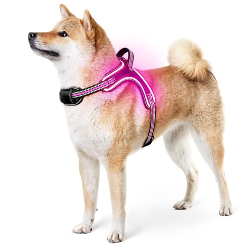 Light Up Light Hundegeschirr Leuchtend Aufladbar, LED Hundegeschirr Mit Griff, Reflektierende Brustgeschirr für Bleiben Sie Nachts Sicher für mittelgroße große Hunde(Rosa, M) von YIAZIM