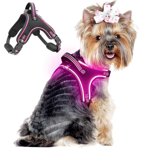 Light Up Hundegeschirr Leuchtend Aufladbar, LED Hundegeschirr mit Griff, Reflektierende Brustgeschirr für Bleiben Sie Nachts Sicher für Mittel Klein große Hund (Rosa, S) von YIAZIM