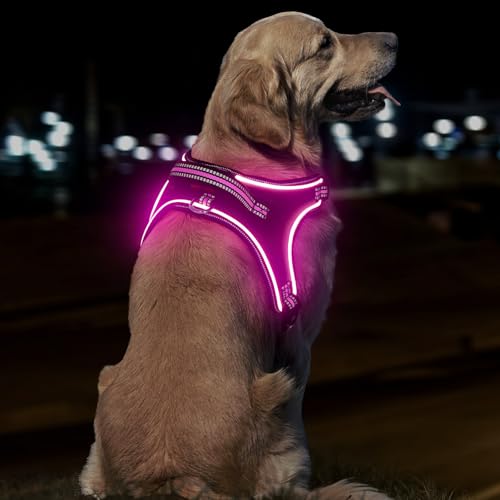 Light Up Hundegeschirr Leuchtend Aufladbar, LED Hundegeschirr mit Griff, Reflektierende Brustgeschirr für Bleiben Sie Nachts Sicher für Mittel Klein große Hund (Rosa, XL) von YIAZIM