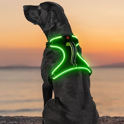 Light Up Dog Harness No Pull LED Hundegeschirr mit Griff … (Medium, Grün) von YIAZIM