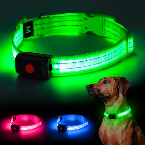 YIAZIM Leuchthalsband Hund Aufladbar, Einstellbare LED Halsband Hund für Kleine Mittlere Große Hund, Hunde Leuchthalsband für Nächtliche Spaziergänge USB Wiederaufladbare (Grün1, L) von YIAZIM