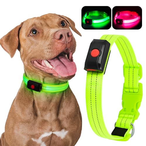 YIAZIM Leuchthalsband Hund Aufladbar, Einstellbare LED Halsband Hund für Kleine Mittlere Große Hund, Hunde Leuchthalsband für Nächtliche Spaziergänge USB Wiederaufladbare (Grün1, M) von YIAZIM