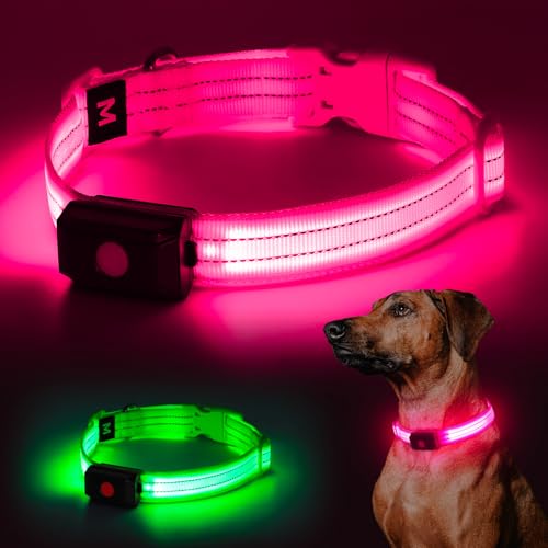 YIAZIM Leuchthalsband Hund Aufladbar, Einstellbare LED Halsband Hund für Kleine Mittlere Große Hund, Hunde Leuchthalsband für Nächtliche Spaziergänge USB Wiederaufladbare (Rosa1, M) von YIAZIM