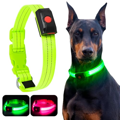 YIAZIM Leuchthalsband Hund Aufladbar, Einstellbare LED Halsband Hund für Kleine Mittlere Große Hund, Hunde Leuchthalsband für Nächtliche Spaziergänge USB Wiederaufladbare (Grün, L) von YIAZIM