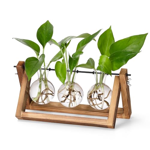 YIBOT Pflanzen-Anzuchtstationen, Schreibtisch-Pflanzen-Terrarium mit Retro-Holzständer, Pflanzenliebhaber, Geschenke für Frauen für Hydrokulturen, Pflanzen, Zuhause, Garten, Hochzeitsdekoration von YIBOT