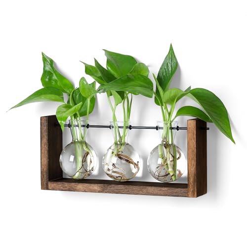 YIBOT Pflanzen-Terrarium mit Holzständer, Pflanzenzuchtstationen, Wandbehang, Glas-Pflanzgefäß, Schreibtisch-Pflanzgefäß, für Innenbereich, Büro, Zuhause, Garten, Dekoration, 3 Glühbirnen von YIBOT