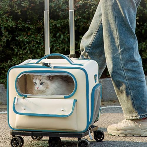 Transporttasche für Katze Hund, Faltbare Hundebox für Mittel Kleine Haustiere im Flugzeug, Katzen Transportbox Trolley für Haustiere, Atmungsaktive Haustier-Reisetrage für Katzen und Welpen von YIMBFCA