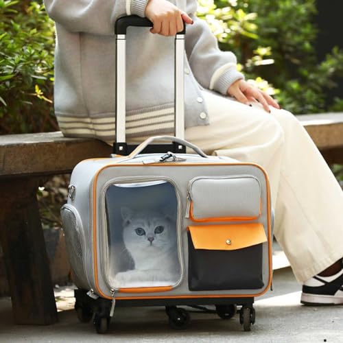 Transporttasche für Katze Hund, Faltbare Hundebox für Mittel Kleine Haustiere im Flugzeug, Katzen Transportbox Trolley für Haustiere, Atmungsaktive Haustier-Reisetrage für Katzen und Welpen von YIMBFCA