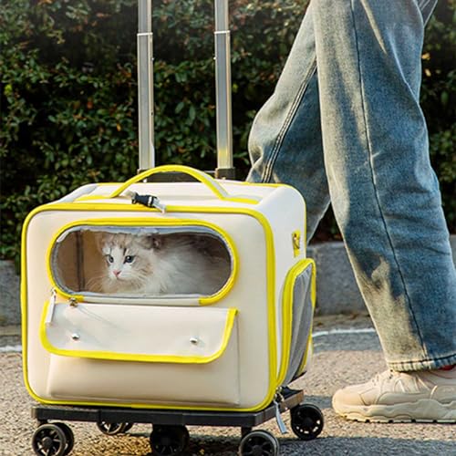 Transporttasche für Katze Hund, Faltbare Hundebox für Mittel Kleine Haustiere im Flugzeug, Katzen Transportbox Trolley für Haustiere, Atmungsaktive Haustier-Reisetrage für Katzen und Welpen von YIMBFCA