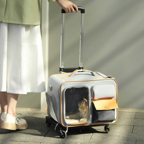 Transporttasche für Katze mit Rollen, Hundetasche Transportbox, Atmungsaktive und Faltbare Hundebox, Katzen Transportboxen, Katzentransportbox für Kleine Hunde und Katzen von YIMBFCA