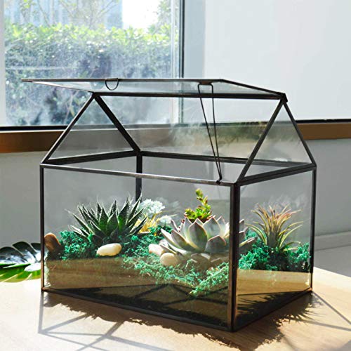 Großes Glaspflanzenterrarium - Haus Sukkulenten Glas Terrarium Kit mit Lippe Glas Gewächshaus Terrarium für Pflanze (Schwarz 1) von YIMORENCE V