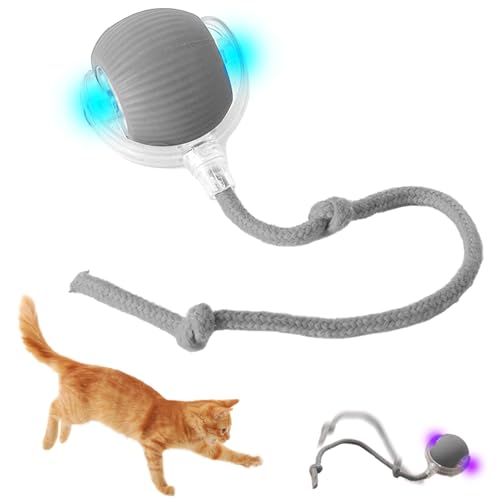 YISKY Interactive Cat Toys Rolling Ball, Hundespielzeug Ball mit Schnur, Interaktives Hunde Ball Spielzeug, Interaktives Katzenspielzeug Katzenball, Automatisch Rollender Ball für Katzen Und Hunde von YISKY