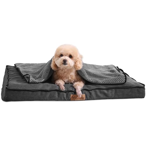 YITAHOME Hundebett Kleiner Hunde - 76x51 cm Hundekissen mit Abnehmbare Decke, Hundematte für Kleiner Hunde,waschbar rutschfest Hundebetten, grau von YITAHOME