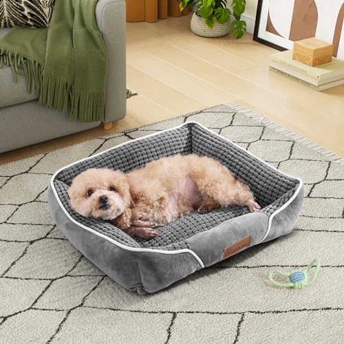 YITAHOME Hundebett für Hunde Kleiner Größe, Hundekissen,Hundebetten, 51x48cm, rutschfeste Unterseite Hundesofa,grau von YITAHOME