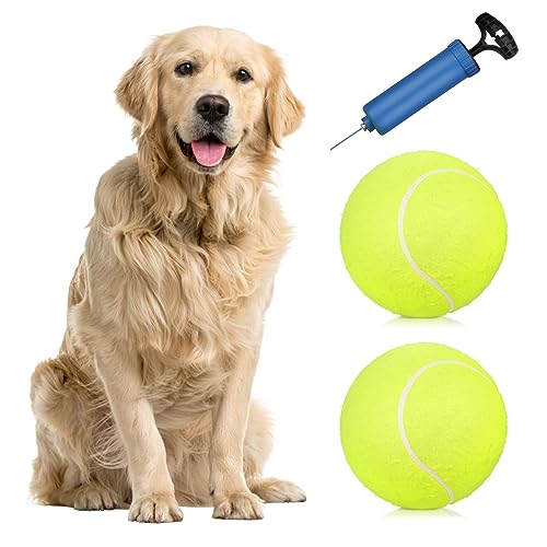 YIWENG 2 Stück 9,5 Zoll übergroße Riesen-Tennisbälle,aufblasbarer Tennisball mit Pumpe,Hundebälle für Signature-,Erwachsene,Haustiere,Hunde,Katzen,Spaß,Riesentennisball für Hunde von YIWENG