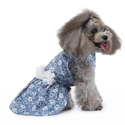 Hundekleid Welpenrock Hellblau Haustier Hundekleid ​Hunde Kleid Prinzessin Abendkleid Kleid für Hunde Katzen (M) von YIYELIY