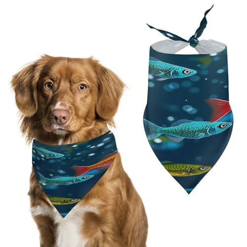 Weiches und atmungsaktives Haustier-Bandana für Hunde und Katzen, Unterwasser-Motiv mit bunten Elritzen-Druck, leichter Polyester-Schal, perfekt für den täglichen Stil oder besondere Anlässe von YJWANDL