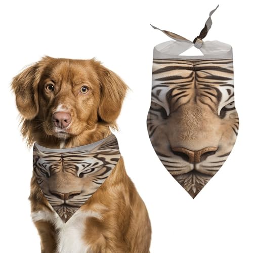 Weiches und atmungsaktives Haustier-Bandana für Hunde und Katzen, leichter Polyester-Schal, perfekt für den täglichen Stil oder besondere Anlässe von YJWANDL