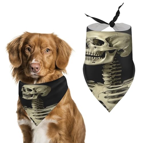 Weiches und atmungsaktives Haustier-Bandana für Hunde und Katzen, leichter Polyester-Schal, perfekt für den täglichen Stil oder besondere Anlässe von YJWANDL