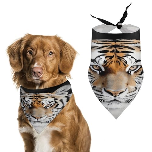 Weiches und atmungsaktives Haustier-Halstuch für Hunde und Katzen, Tiger2-Druck, leichter Polyester-Schal, perfekt für den täglichen Stil oder besondere Anlässe von YJWANDL