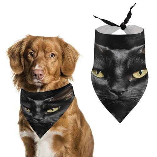 Weiches und atmungsaktives Haustier-Halstuch für Hunde und Katzen, eine schwarze Katze auf schwarzem Hintergrund, leichter Polyester-Schal, perfekt für den täglichen Stil oder besondere Anlässe von YJWANDL