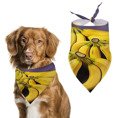 Weiches und atmungsaktives Haustier-Halstuch für Hunde und Katzen, einzigartiger Bananenfruchtdruck, leichter Polyester-Schal, perfekt für den täglichen Stil oder besondere Anlässe von YJWANDL