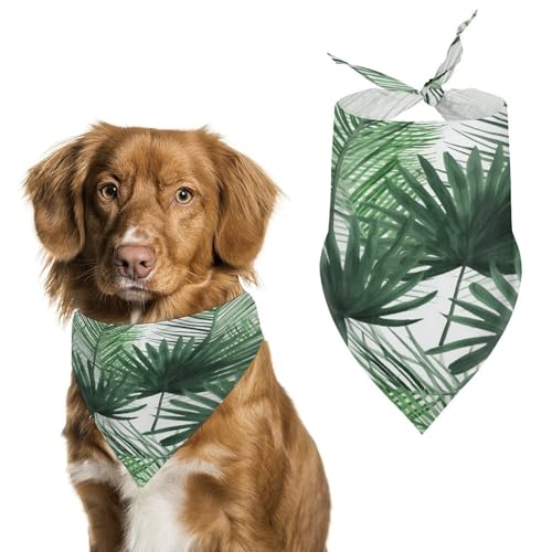 Weiches und atmungsaktives Haustier-Halstuch für Hunde und Katzen, transparenter Palmblatt-Muster, leichter Polyester-Schal, perfekt für den täglichen Stil oder besondere Anlässe von YJWANDL