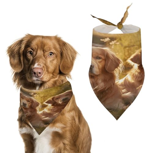 Weiches und atmungsaktives Haustier-Halstuch für Hunde und Katzen, zwei Golden Retriever-Druck, leichter Polyester-Schal, perfekt für den täglichen Stil oder besondere Anlässe von YJWANDL