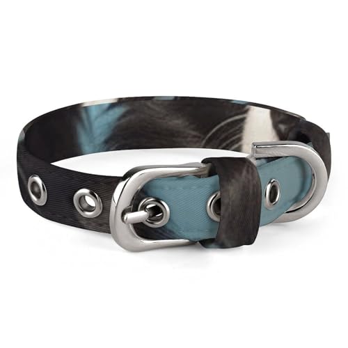 Haustier-Halsband, Border Collie-Druck, stilvolles Haustierzubehör, modisches Haustierhalsband, verstellbares Haustierhalsband, leichtes Haustierhalsband von YJWANDO