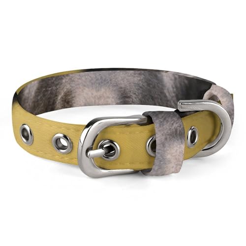 Hundehalsband, schwarzer Schäferhund, stilvolles Haustierzubehör, modisches Haustierhalsband, verstellbares Haustierhalsband, leichtes Haustierhalsband von YJWANDO