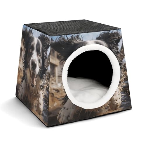 YJWANDO Kapsel-Haustiernest, Pastor Border Collie Druck, gemütliches Weltraumkapsel-Design, Haustierbett, Kapsel-Haustierbett, kleines Haustierbett, ideal für kleine Katzen und Hunde von YJWANDO