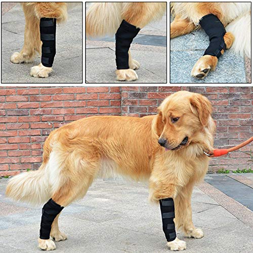 YJZQ 2pcs Hund Sprunggelenk Schutz Bandage 1 Paar Haustier Hunde Handgelenk Bandage Hunde Kniebandage Gelenkbandage Stützbandage Haustier Schutzausrüstung Kniepolster für Hunde,Hundebein-Ärmel von YJZQ