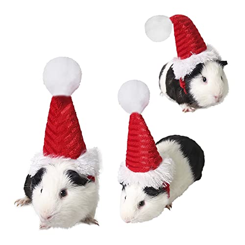 YJZQ Meerschweinchen-Kostüm Katze Weihnachtsmütze Haustier Weihnachtsmütze Santa Claus Mütze verstellbarem Weihnacht Haustier-Stirnband für Hamster Meerschweinchen Ratten Kätzchen und Kleintiere von YJZQ