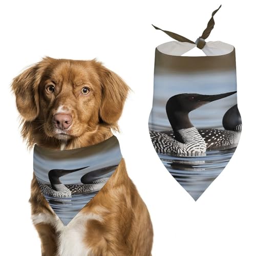 Premium-Haustier-Schal, Loon Birds Print, weiches und atmungsaktives Dreieckstuch für Hunde und Katzen, perfekt für den täglichen Gebrauch oder besondere Anlässe von YKUDBN