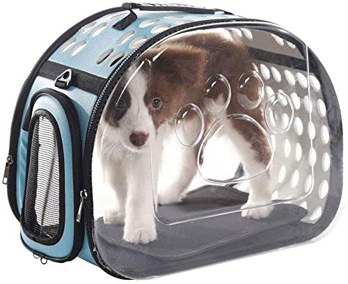 YLCJ Atmungsaktive Haustiertasche für draußen Leichte Transportbox für Haustiere, für kleine Katzen/Hunde, 42 cm * 28 cm * 32 cm (Farbe: Blau) von YLCJ