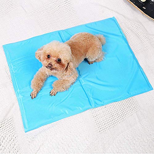 YLCJ Haustier PVC Ice Pad Hundematte liefert Bett Kiste Maschine waschbar Matratze Haustiere Zwinger Pads mit festen atmungsaktive Baumwolle für Katzen (Farbe: blau, Größe: 50 * 65 cm) von YLCJ