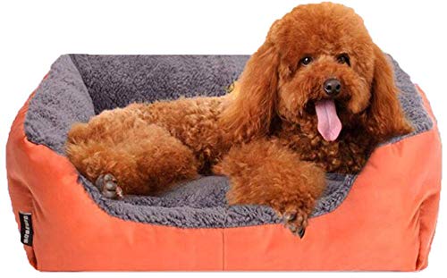 YLCJ Hundebett Bissfest Waschbar Four Seasons General Pet Matratze Kleines Haustier Katzenbett, Orange-M von YLCJ