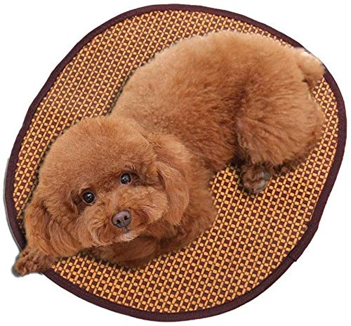 YLCJ Pet Nest Hundematte Cool Pad Supplies Bett orthopädische Sofa-Stil traditionelle Wohnzimmer Couch mit festen atmungsaktive Baumwolle für Katzen (Farbe, Größe: M) von YLCJ