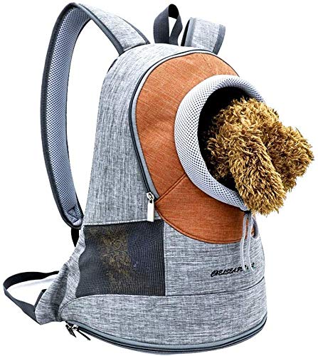 YLCJ Tierträger Green Cation Pet Chest kann ausgestellt Werden Umhängetasche Tragbarer, atmungsaktiver Katzenrucksack (Farbe: Orange, Größe: S) von YLCJ